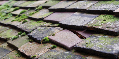 Bishops Frome roof repair costs